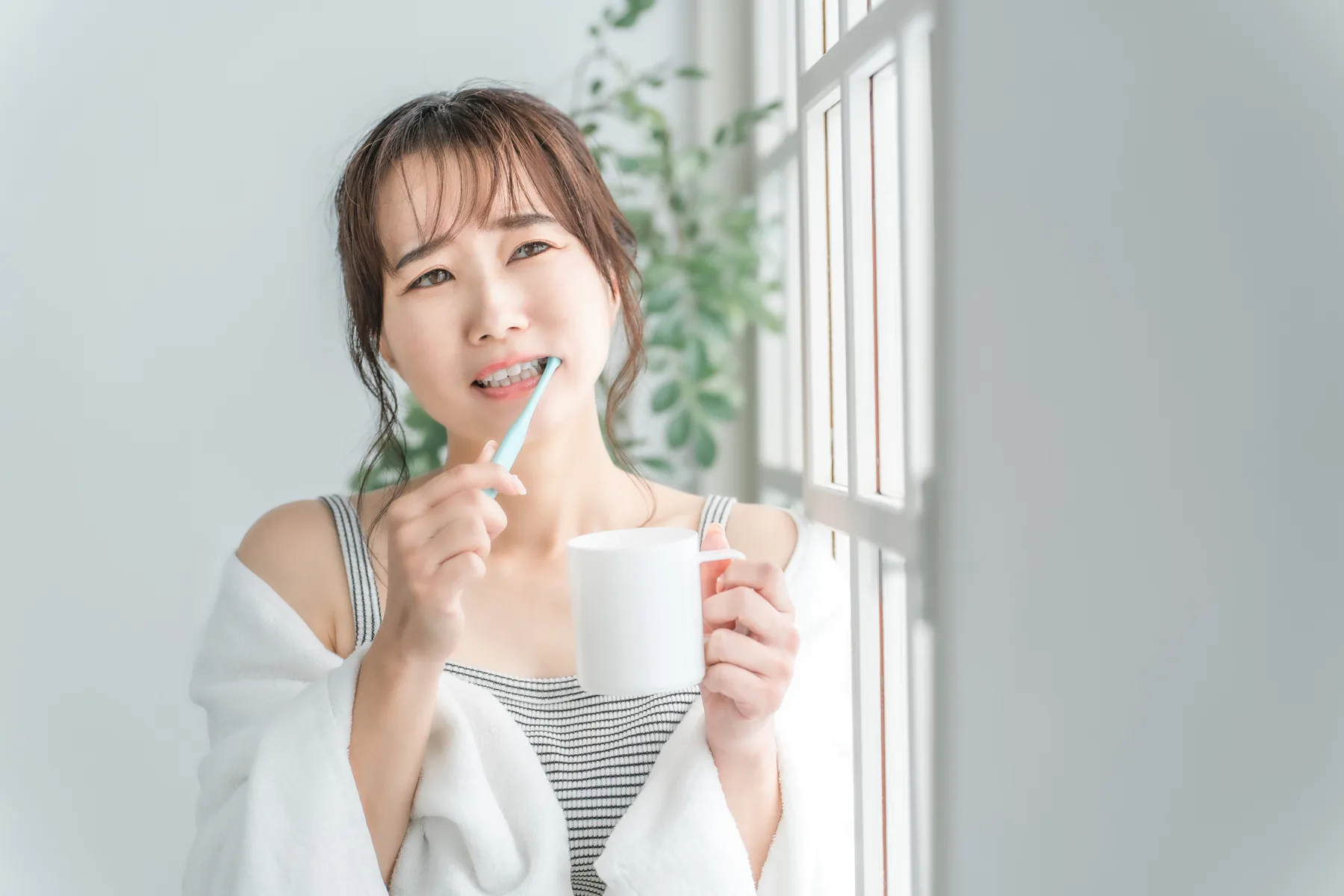 虫歯とはどのような病気か